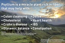 bodylive-psyllium-husk-fiber-capsule-non-2.jpg