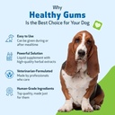 pet-wellbeing-healthy-gums-for-dogs---gu-5.jpg