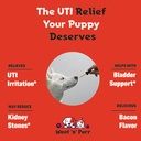 natural-dog-uti-treatment---dog-uti---do-3.jpg