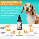 restorapet-4-pack-dog-cat-unflavored-liq-4.jpg