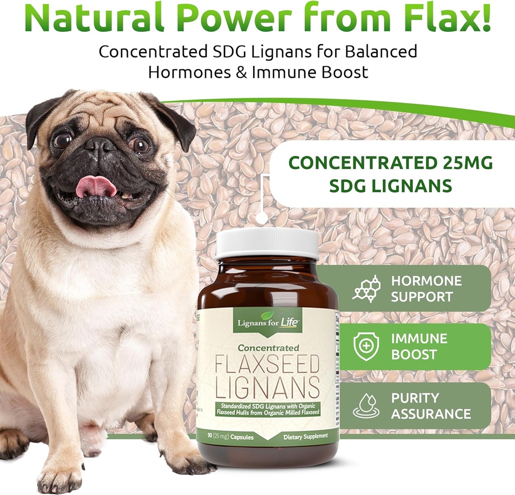 lignans-for-life-flaxseed-and-sdg---omeg-2.jpg
