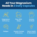 greenatr-magnesium-complex-supplement----5.jpg