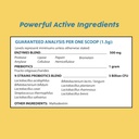 dog-probiotics-cat-probiotics-probiotics-2.jpg