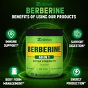 zolotus-berberine-supplement-40-in-1-wit-5.jpg
