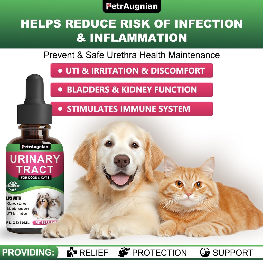 cat-dog-urinary-tract-infection-treatmen-3.jpg