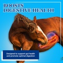 equerrys-large-animal-probiotic-suppleme-2.jpg