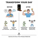 pure-himalayan-shilajit-gummies-gold-gra-5.jpg