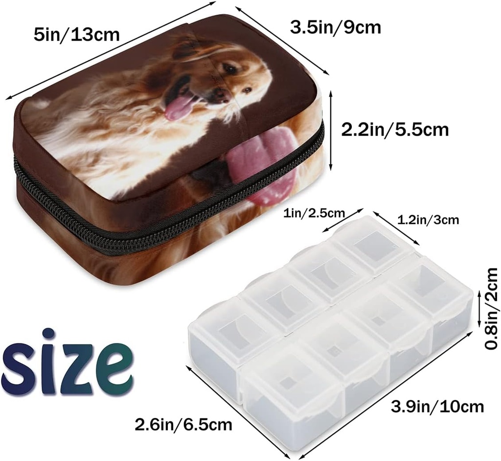 golden-retriever-dog-pill-case-weekly-me-2.jpg
