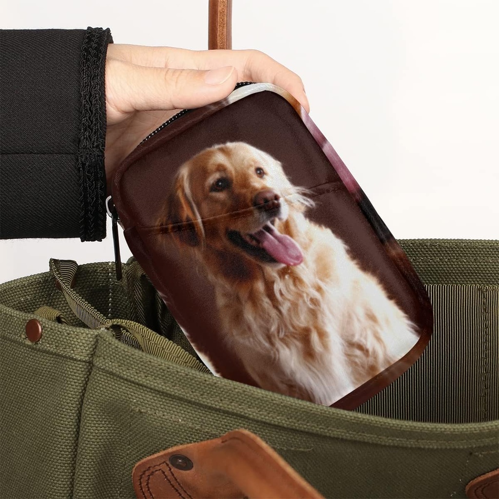 golden-retriever-dog-pill-case-weekly-me-6.jpg