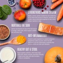 whole-life-dog-whole-body-health-supplem-4.jpg