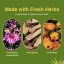 herbs-etc-immunoboost---herbal-supplemen-6.jpg