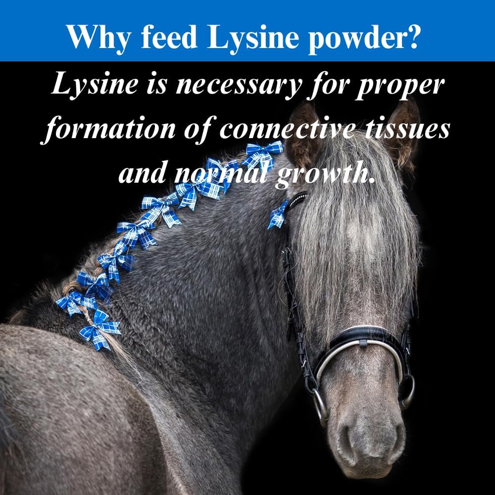 su-per-lysine-supplement-for-horses---su-4.jpg