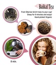 chaga-tea---100-wild-siberian-birch-chag-3.jpg