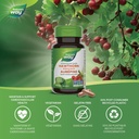 natures-way-hawthorn-berries-cardiovascu-3.jpg