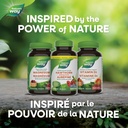 natures-way-hawthorn-berries-cardiovascu-6.jpg