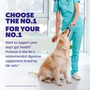 protexin-daily-care-gut-skin-coat-60-dog-3.jpg