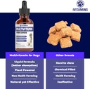 multivitamin-for-dogs-dog-multivitamin-f-4.jpg