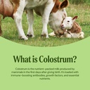 grass-fed-bovine-colostrum-supplement-wi-4.jpg