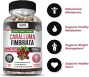 kaya-naturals---caralluma-fimbriata-1200-3.jpg