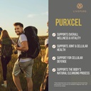 pure-purxcel-antioxidant-supplement-30-c-3.jpg