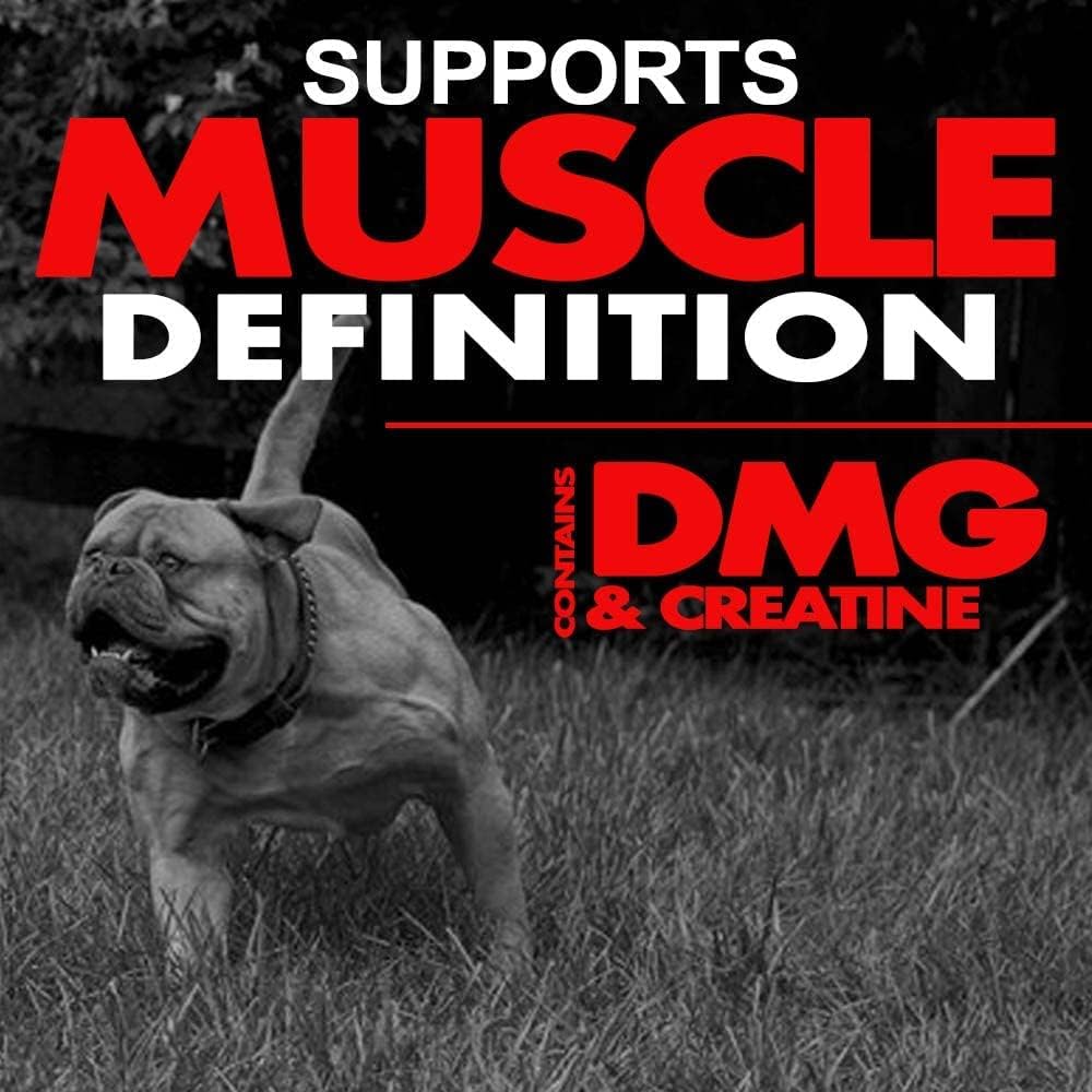 muscle-builder-for-dogs---combines-clini-4.jpg