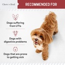 dog-uti-treatment-cranberry-supplement-f-6.jpg