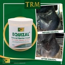 trm-equizal-soothing-equine-barrier-skin-3.jpg
