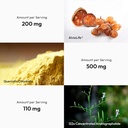 bigvita-lung-health-vegan-gluten-free-di-4.jpg