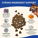 probiotics-for-dogs---improve-itchy-skin-3.jpg