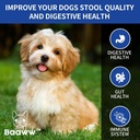 probiotics-for-dogs---improve-itchy-skin-6.jpg