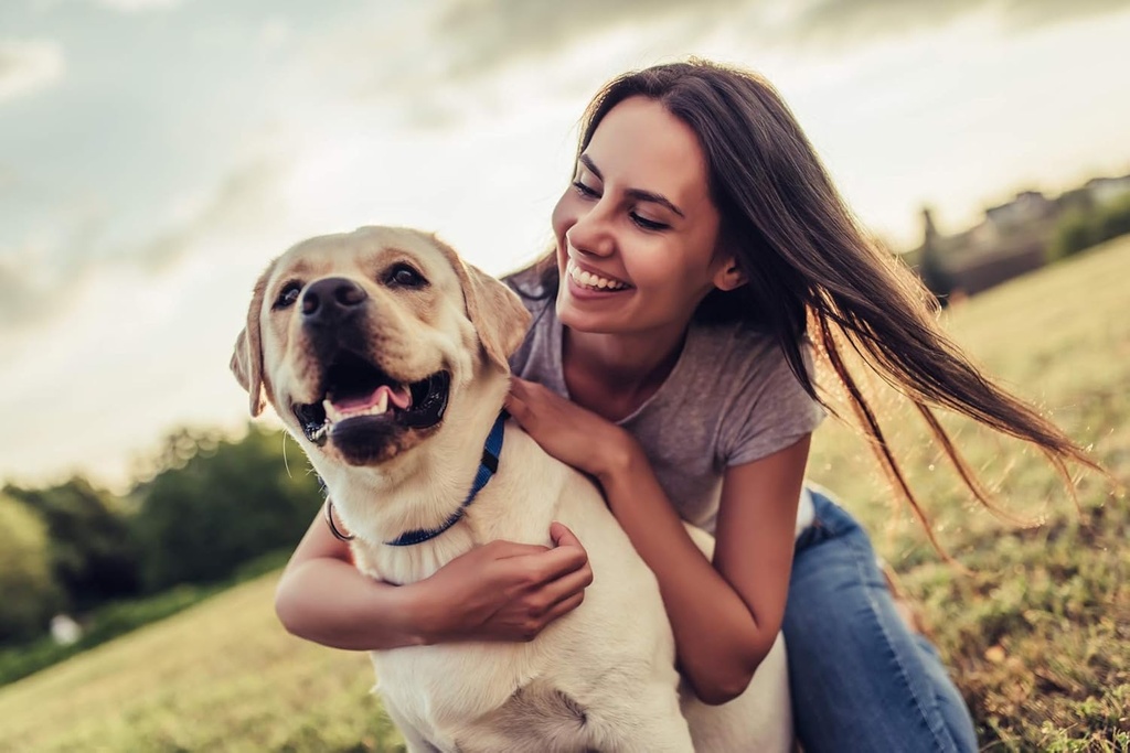 dog-incontinence-female---dog-urinary-tr-2.jpg