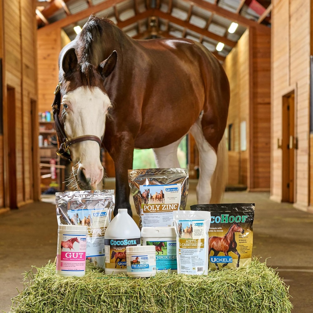 sport-grass-pellets-horse-probiotics-pre-5.jpg