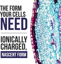 nascent-iodine-supplement-400-servings-g-5.jpg
