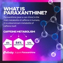 pre-workout-powder-muscletech-euphoriq-p-5.jpg