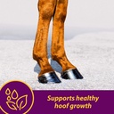 horse-health-shur-hoof-hoof-supplement-f-2.jpg