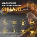 shilajit-gummies-pure-himalayan-shilajit-4.jpg