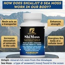 shimoss-supplement-wshilajit-1000mg-sea--3.jpg