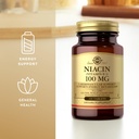 solgar-niacin-vitamin-b3-100-mg---100-ta-4.jpg