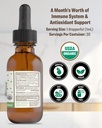 rawguru-vitamin-k2-supplement---organic--2.jpg
