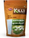 killi-kuppaimeni-indian-acalypha-indian--2.jpg
