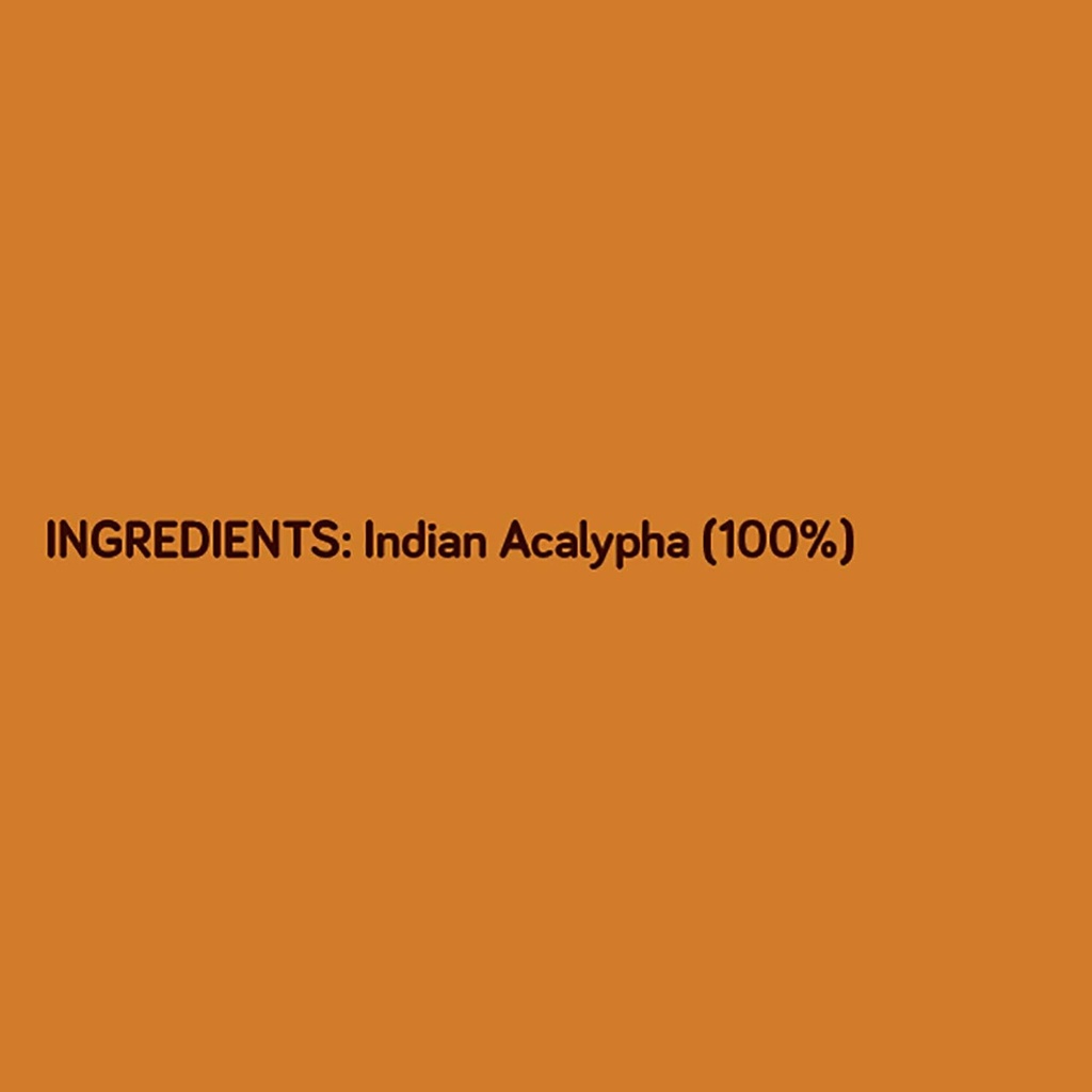 killi-kuppaimeni-indian-acalypha-indian--6.jpg