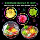 original-stationery-dinosaur-crystal-gro-4.jpg