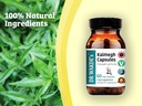 dr-wakdes-kalmegh-capsules-andrographis--2.jpg