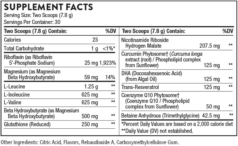thorne---synaquell---brain-support-with--2.jpg