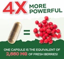 purely-holistic-hawthorn-berry-665mg-oli-6.jpg