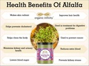 alfalfa-grass-powder-100-gram35-ounce-me-5.jpg