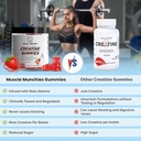 muscle-munchies-creatine-chewable-gummie-2.jpg
