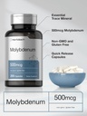 horbaach-molybdenum-supplement-500mcg-20-4.jpg
