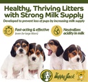 happy-jack-milkade-dog-breeding-nursing--3.jpg