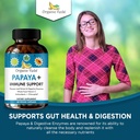 organic-veda-papaya-leaf-plus-supplement-4.jpg